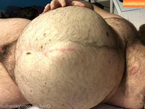 gainerbull photo #0119
