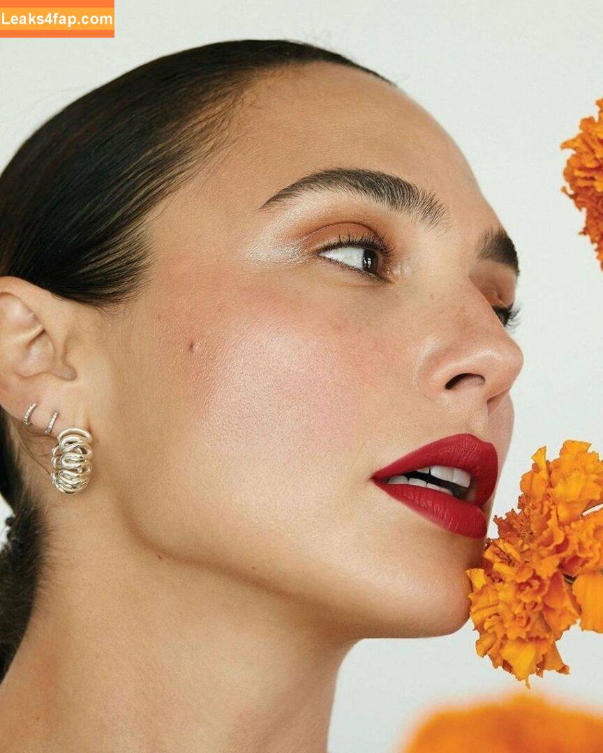 Gal Gadot / gal_gadot / https: / inked_hriss leaked photo photo #0392