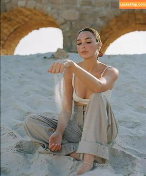 Gal Gadot photo #0314