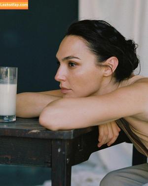 Gal Gadot photo #0356