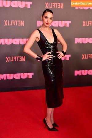 Gal Gadot photo #0485