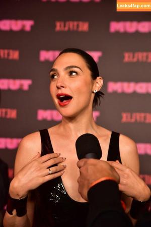 Gal Gadot photo #0486