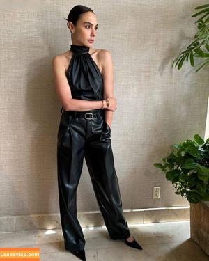 Gal Gadot photo #0863