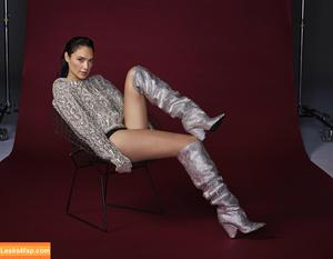 Gal Gadot photo #0947