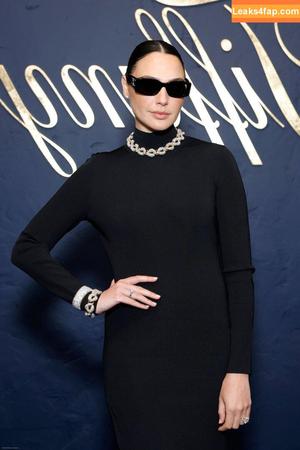 Gal Gadot photo #0985