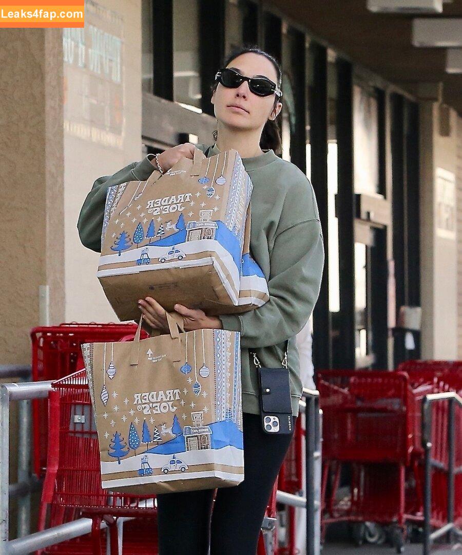 Gal Gadot / gal_gadot / https: / inked_hriss leaked photo photo #1175