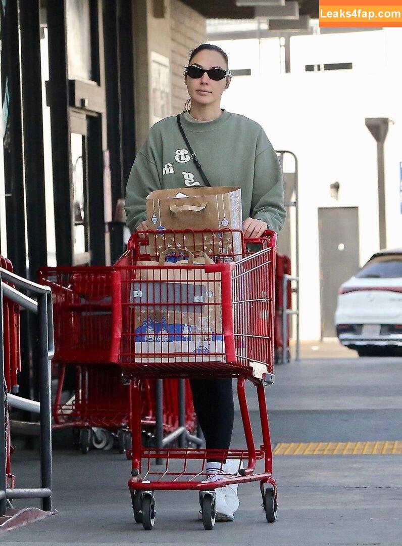 Gal Gadot / gal_gadot / https: / inked_hriss leaked photo photo #1183