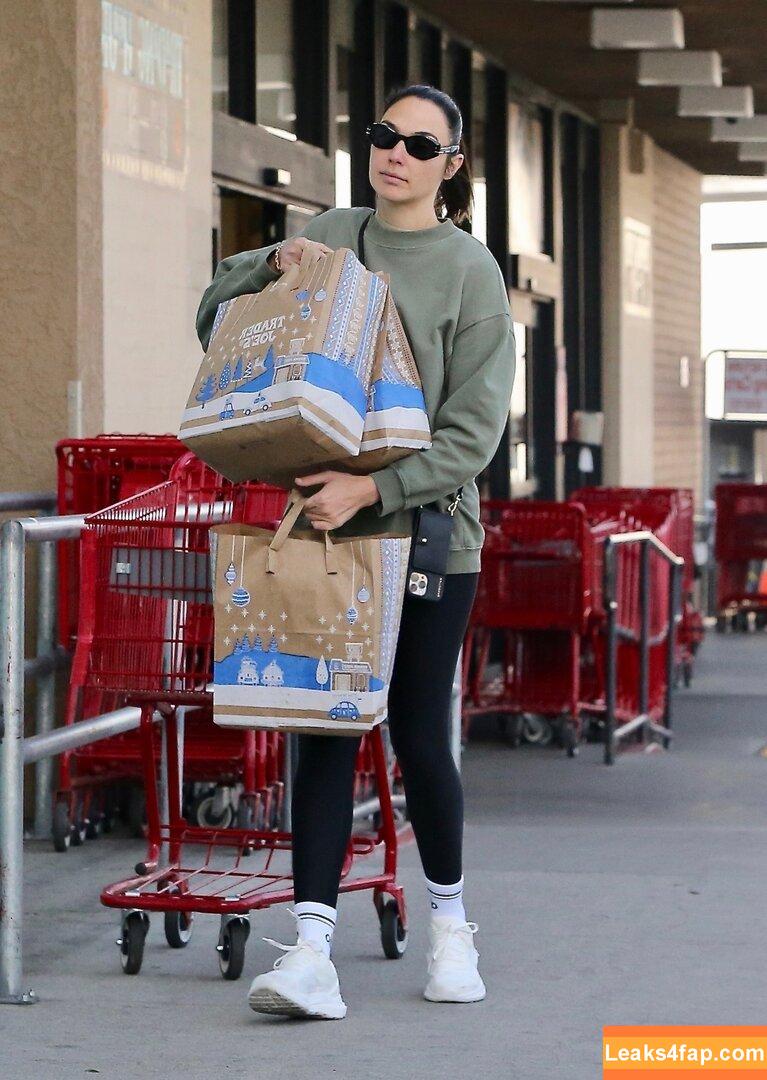 Gal Gadot / gal_gadot / https: / inked_hriss leaked photo photo #1184