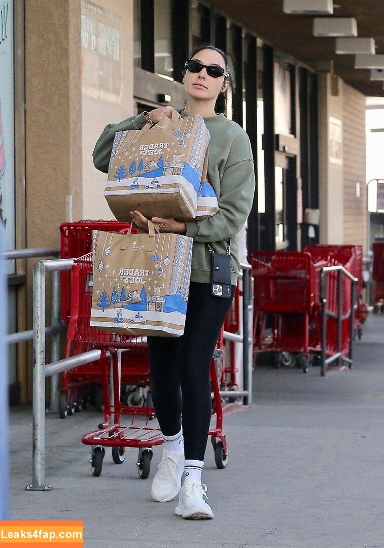 Gal Gadot / gal_gadot / https: / inked_hriss leaked photo photo #1188