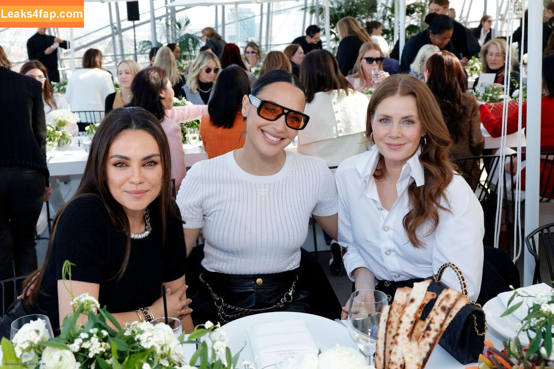 Gal Gadot / gal_gadot / https: / inked_hriss leaked photo photo #1209