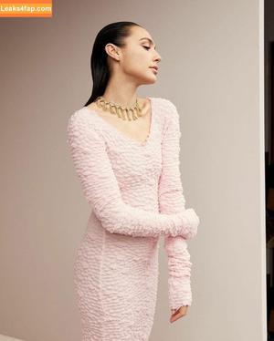 Gal Gadot photo #1014