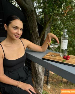 Gal Gadot photo #1054