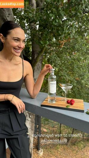 Gal Gadot photo #1055