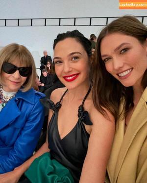 Gal Gadot photo #1073