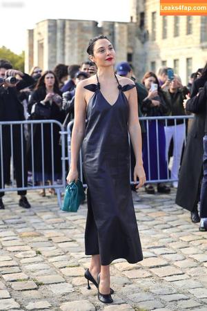 Gal Gadot photo #1085
