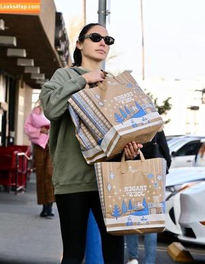 Gal Gadot photo #1177