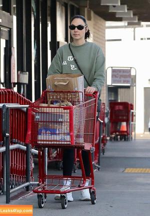 Gal Gadot photo #1178