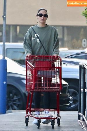 Gal Gadot photo #1187