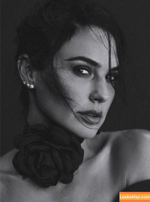 Gal Gadot photo #2427