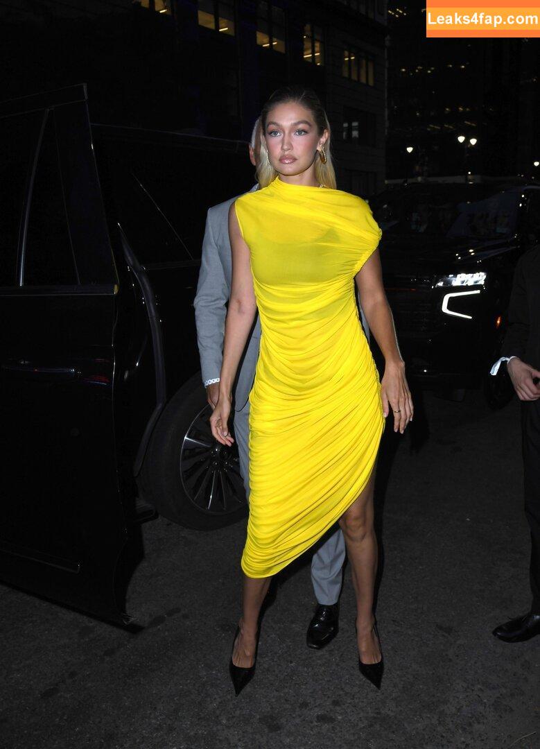 Gigi Hadid / GiGiHadid / aaliyahhadid leaked photo photo #0320