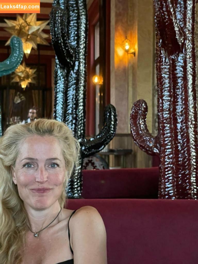 Gillian Anderson / GillianA leaked photo photo #0293