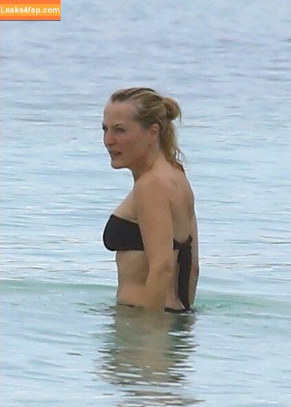 Gillian Anderson / GillianA leaked photo photo #0438