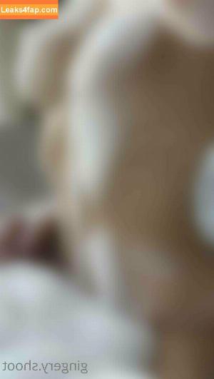 gingery.shoot фото #0345