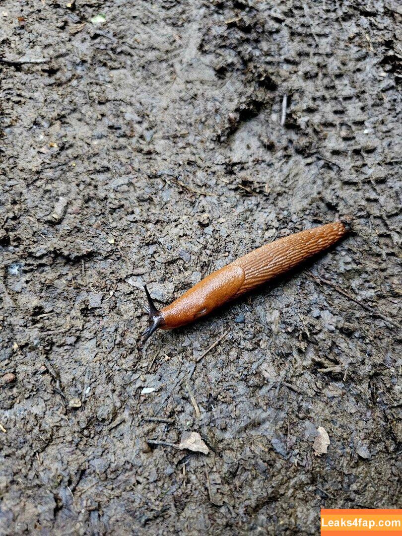 girloftheforest /  leaked photo photo #0016
