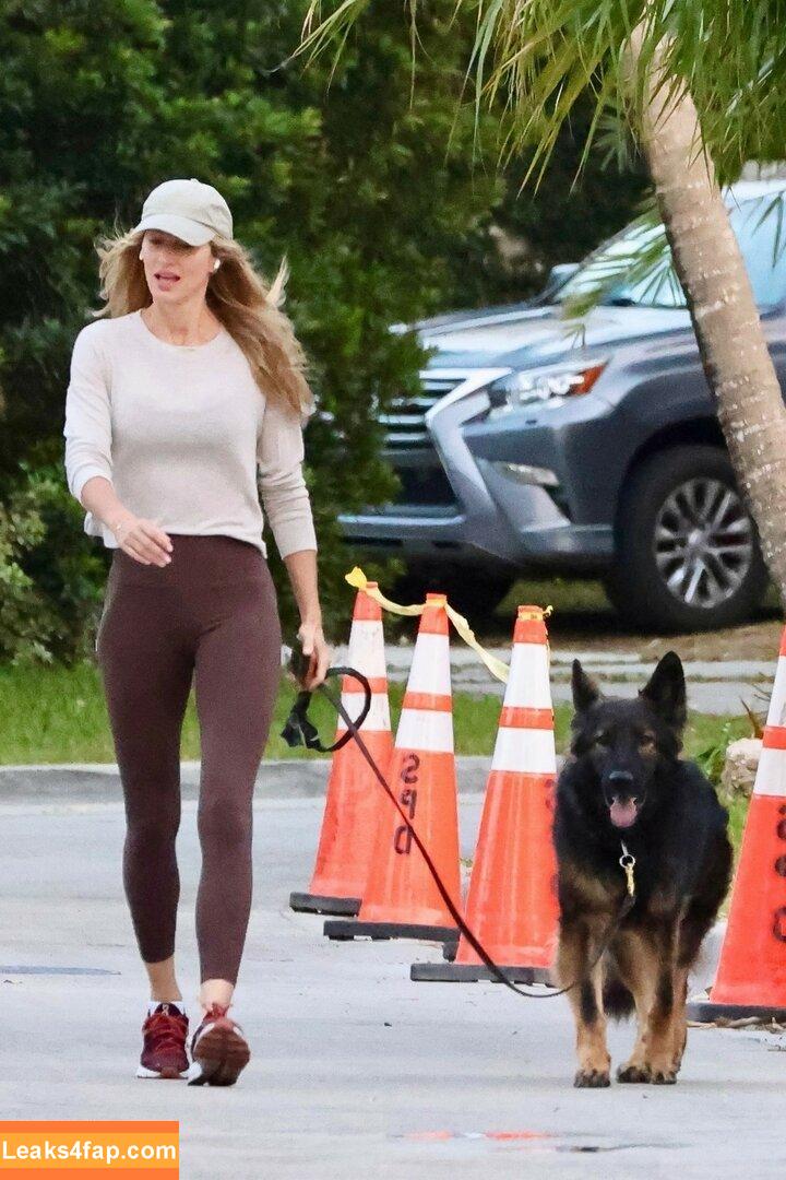 Gisele Bündchen / gisele слитое фото фото #0198