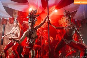 Gogo Stripper photo #0758