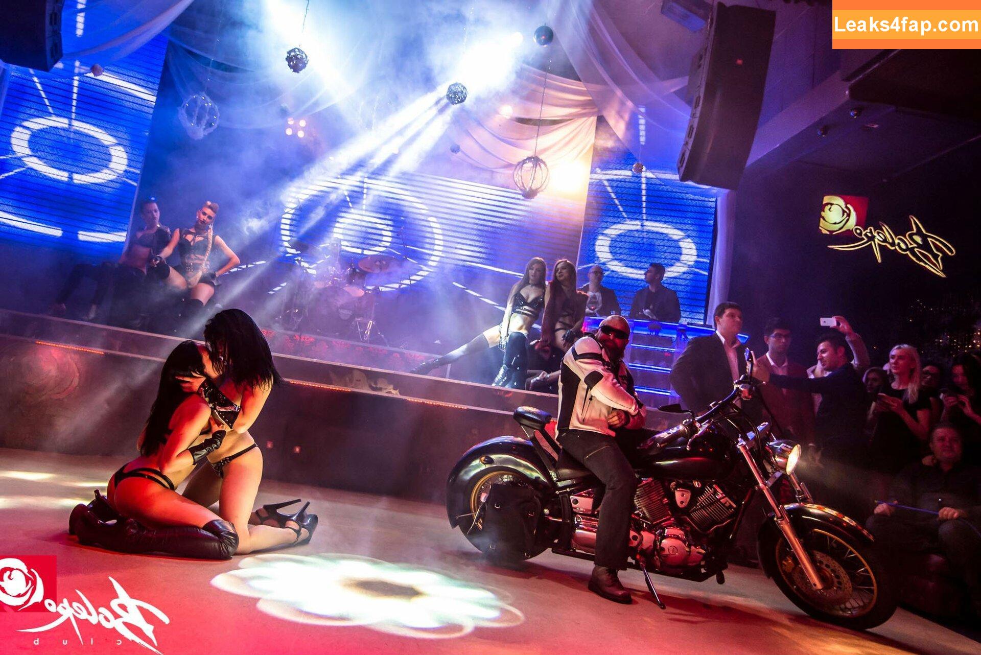 Gogo Stripper / gogo.striper / mogogogo / private show / show in club leaked photo photo #1017