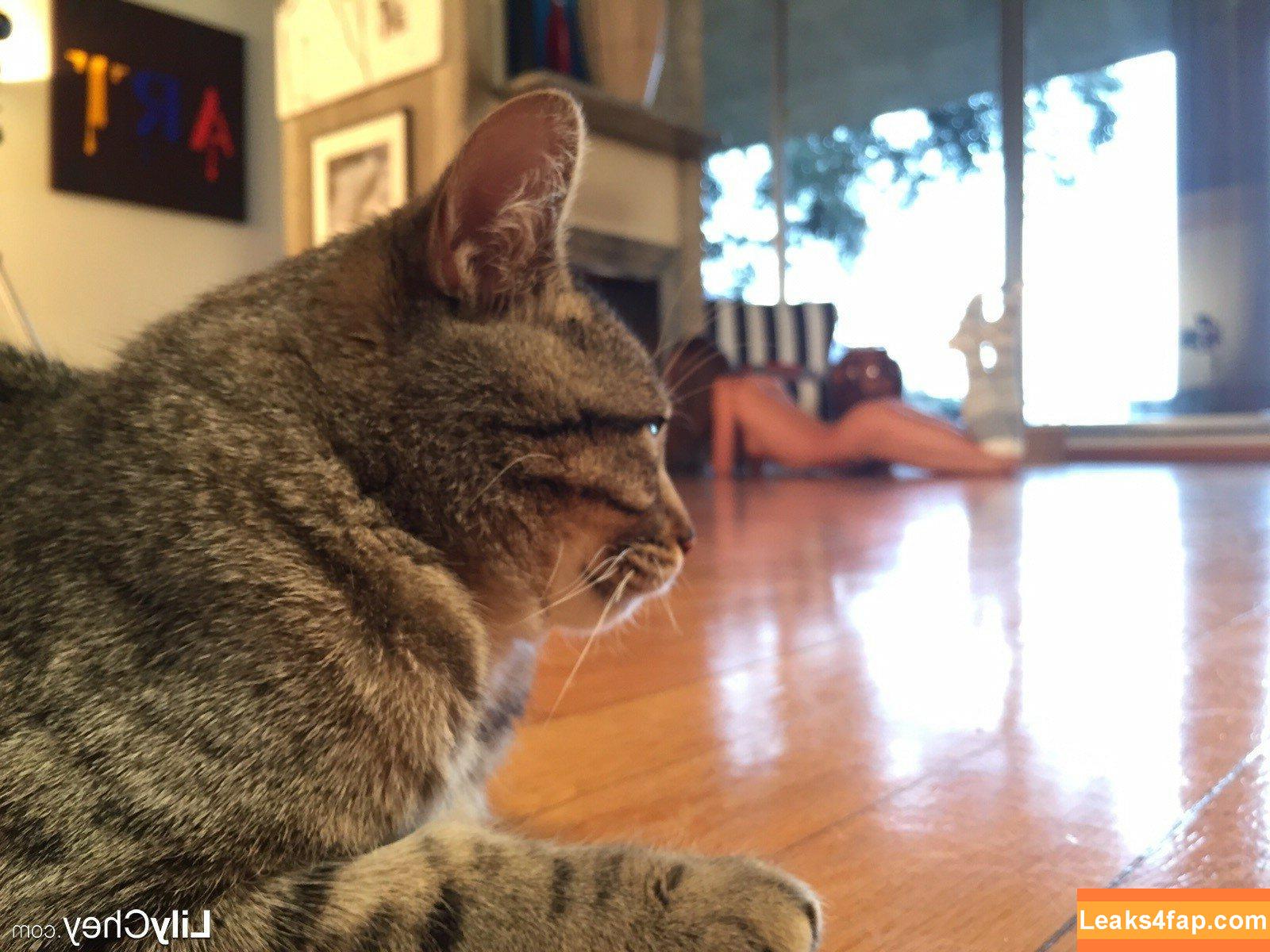 Guerlain / Anastasia S / Dominika / Lili / Lily C / Lily Chey / Nasty Q. / lea_guerlin / sia89 слитое фото фото #0270