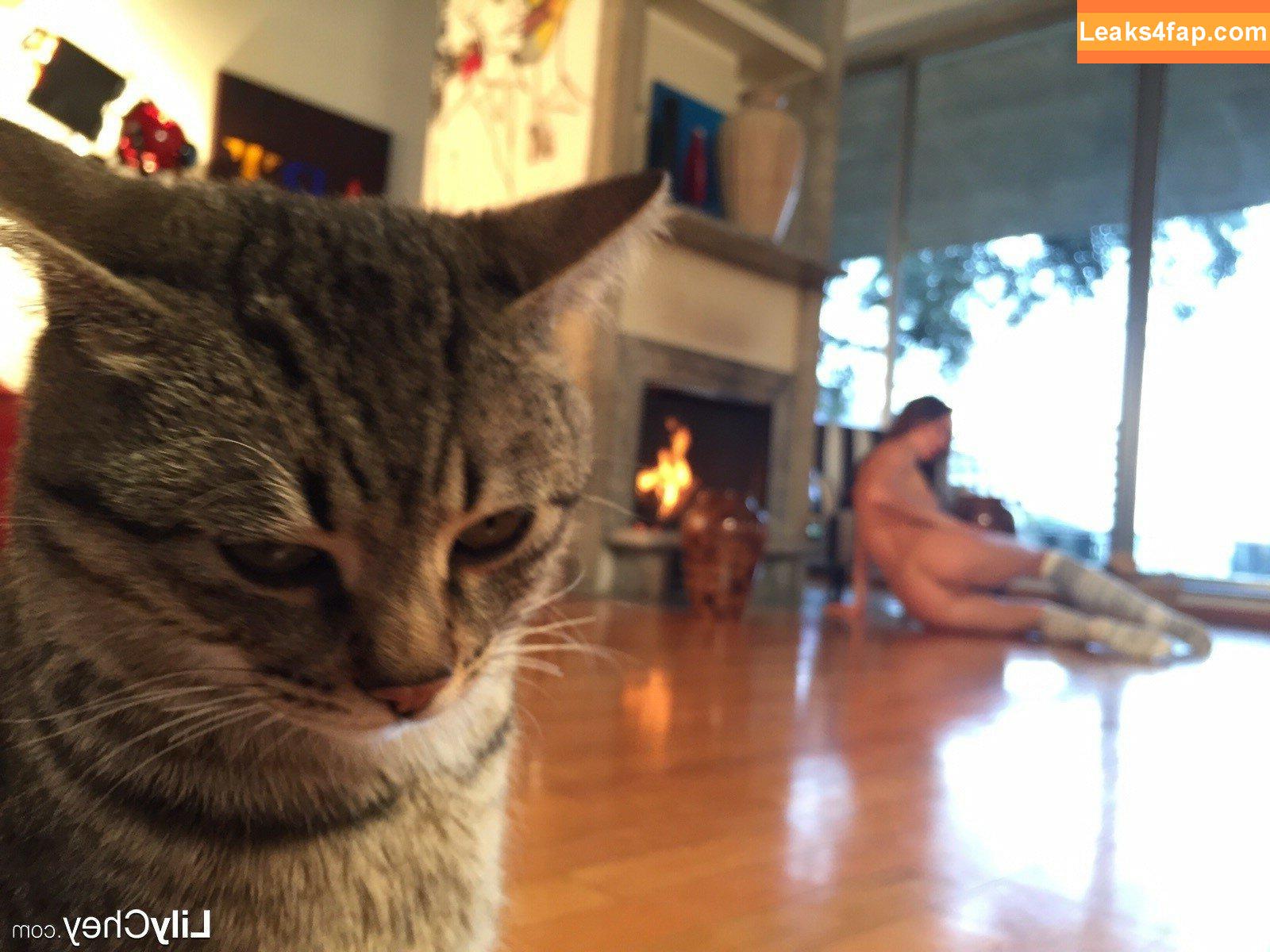 Guerlain / Anastasia S / Dominika / Lili / Lily C / Lily Chey / Nasty Q. / lea_guerlin / sia89 слитое фото фото #0271