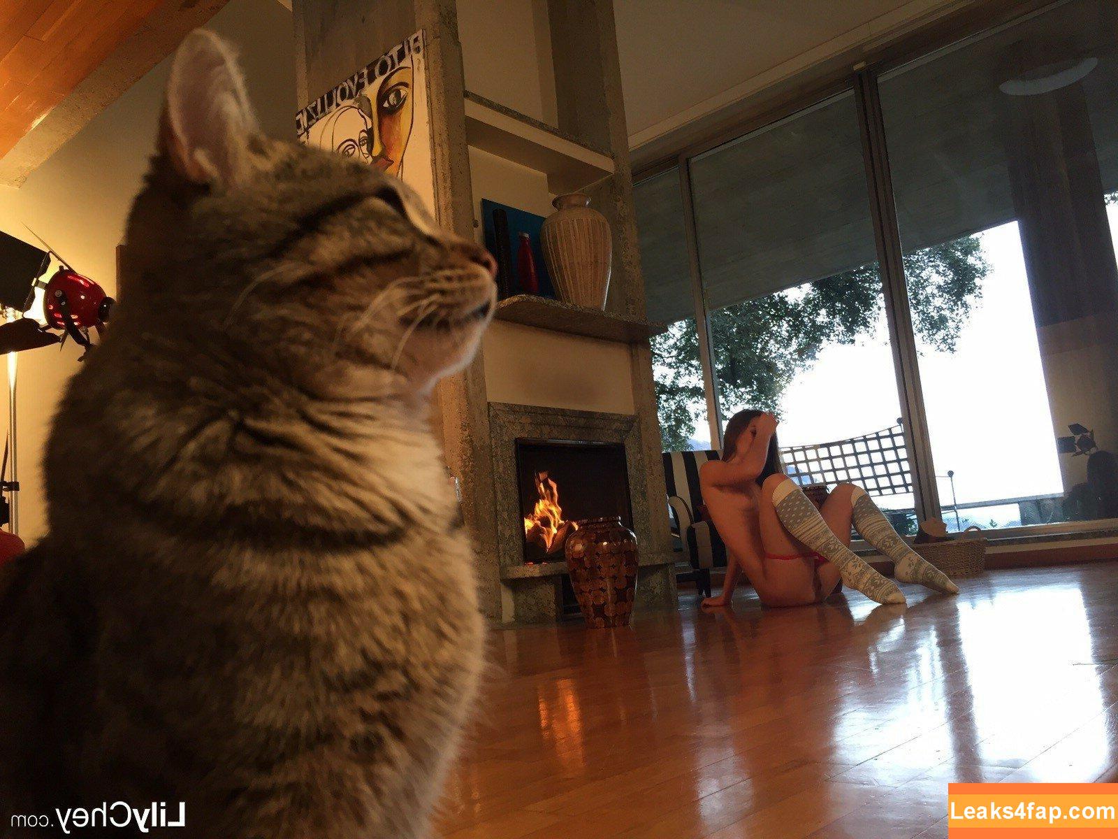 Guerlain / Anastasia S / Dominika / Lili / Lily C / Lily Chey / Nasty Q. / lea_guerlin / sia89 слитое фото фото #0272