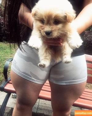 Guohui фото #0105