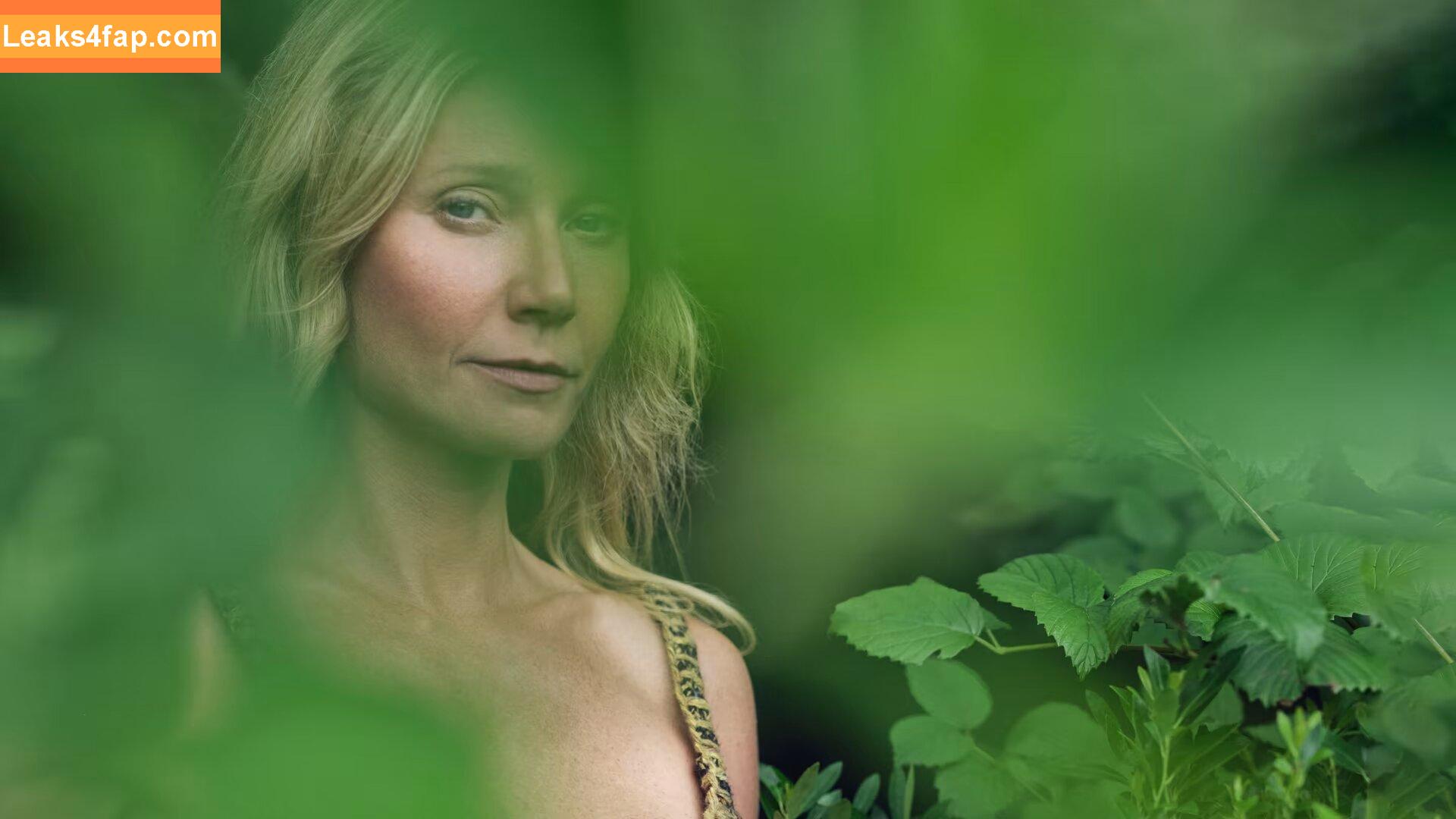 Gwyneth Paltrow / GwynethPaltrow слитое фото фото #0066
