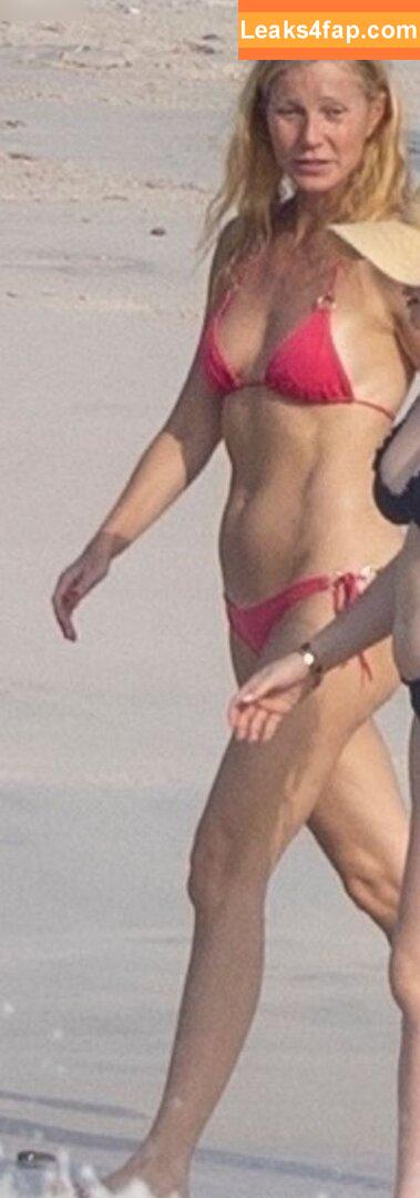 Gwyneth Paltrow / GwynethPaltrow leaked photo photo #0333