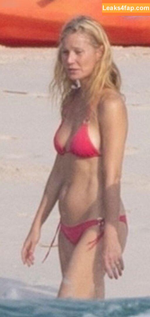 Gwyneth Paltrow / GwynethPaltrow leaked photo photo #0335