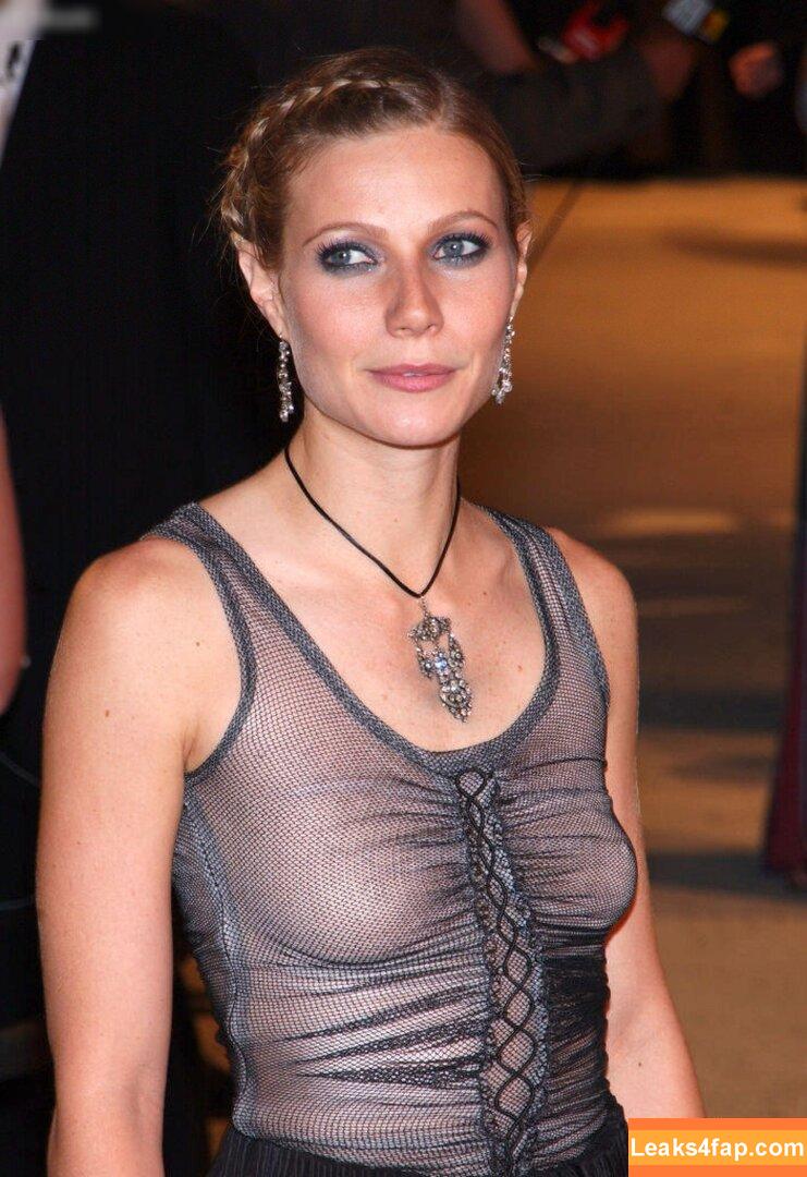 Gwyneth Paltrow / GwynethPaltrow leaked photo photo #0349