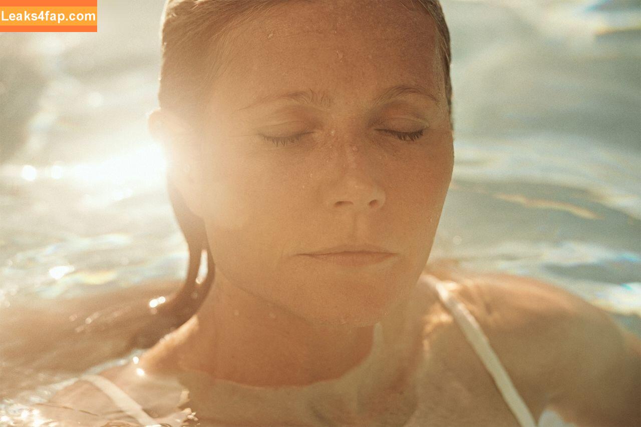 Gwyneth Paltrow / GwynethPaltrow leaked photo photo #0361