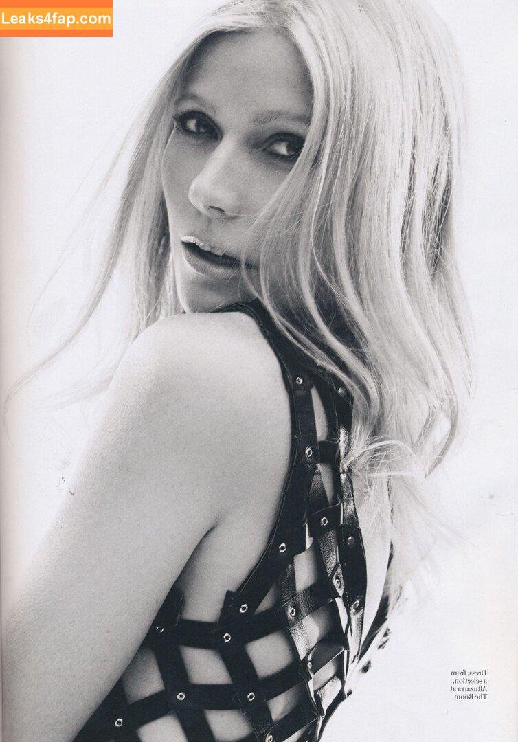 Gwyneth Paltrow / GwynethPaltrow leaked photo photo #0398
