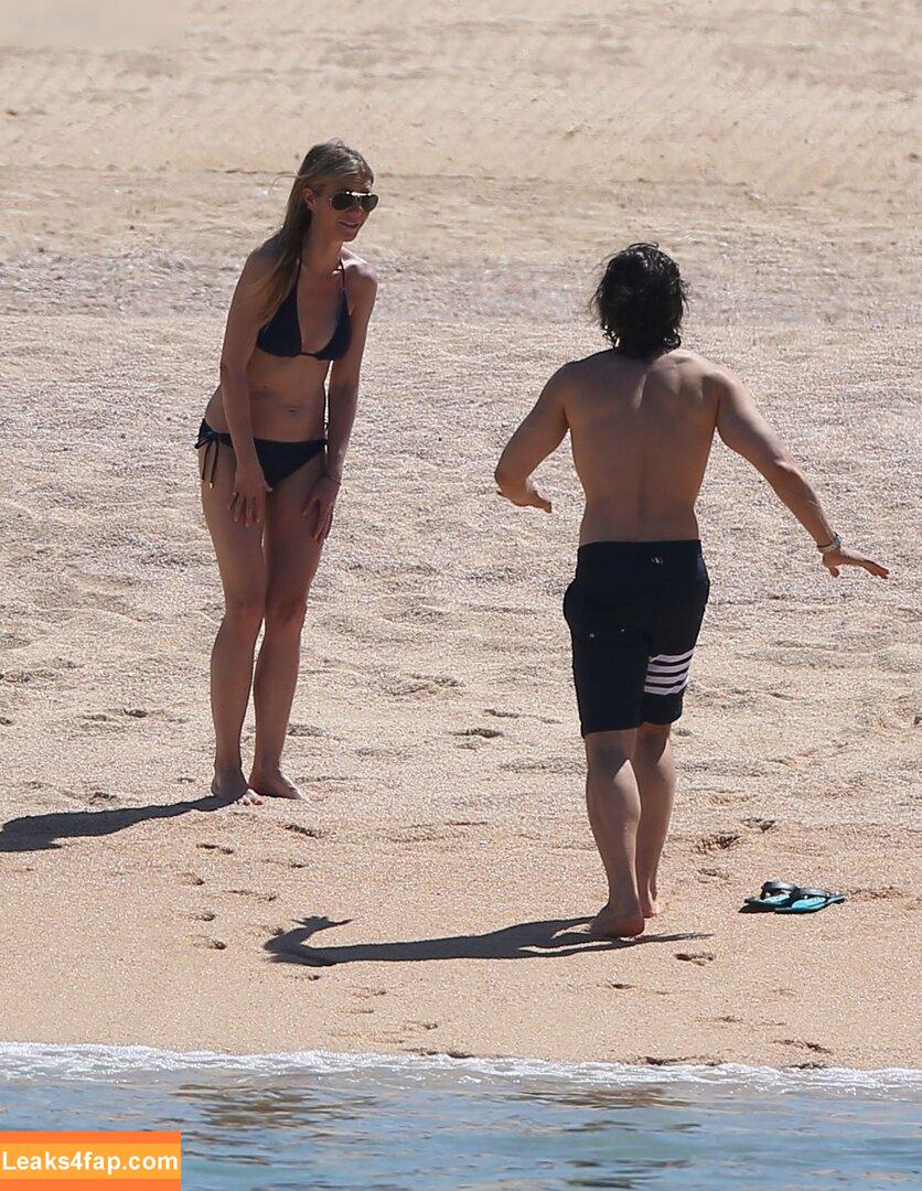 Gwyneth Paltrow / GwynethPaltrow leaked photo photo #0427