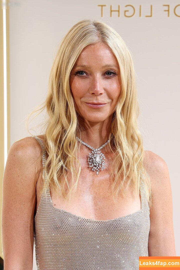 Gwyneth Paltrow / GwynethPaltrow leaked photo photo #0510