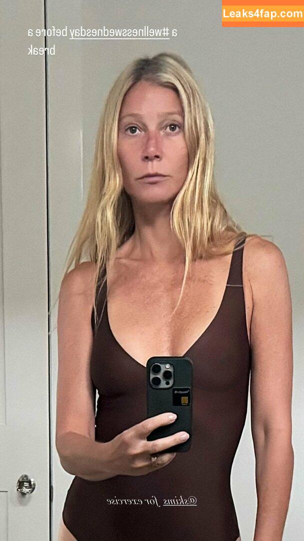 Gwyneth Paltrow / GwynethPaltrow leaked photo photo #0515