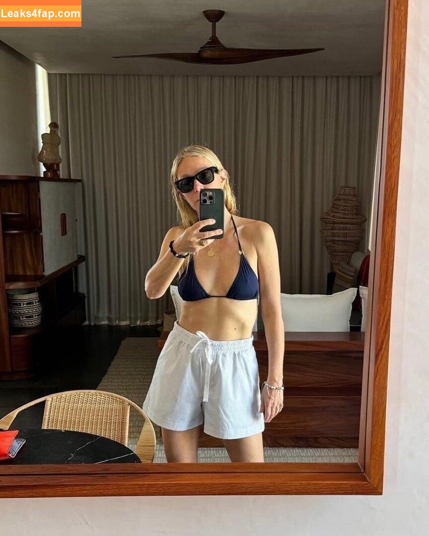 Gwyneth Paltrow / GwynethPaltrow leaked photo photo #0560