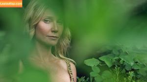 Gwyneth Paltrow фото #0066