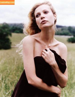 Gwyneth Paltrow фото #0282