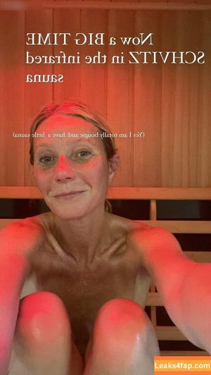 Gwyneth Paltrow фото #0291