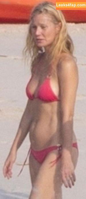 Gwyneth Paltrow фото #0345
