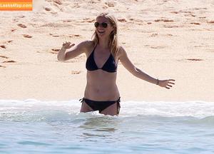 Gwyneth Paltrow photo #0428